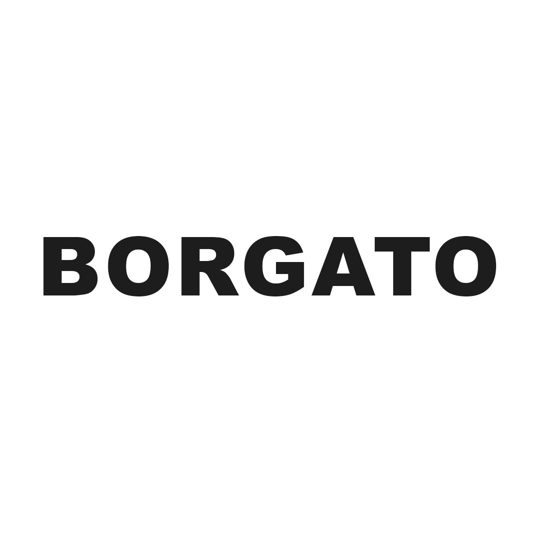 logotipo grupo Borgato